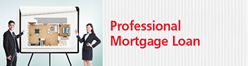 Professional Mortgage Plan